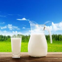 Verse schapenmelk van de Aerebeekhoeve in Pajottegem